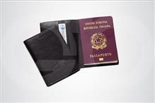 Porta-Passaporte - 10BRD030
